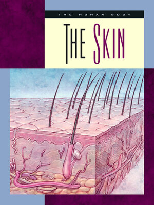 cover image of The Skin